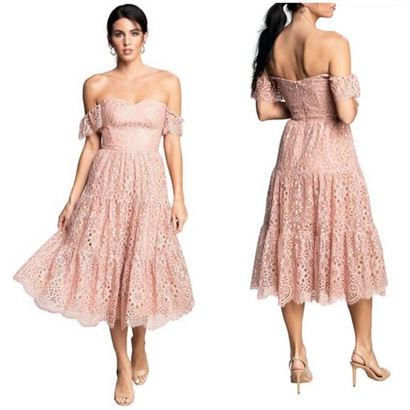 DRESS THE POPULATION River Lace Off the Shoulder Fit & Flare Dress Blush M NWOT - Picture 1 of 12